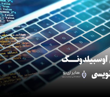 حقوق آوسبیلدونگ برنامه نویسی - راهکارهای افزایش حقوق آوسبیلدونگ برنامه نویسی