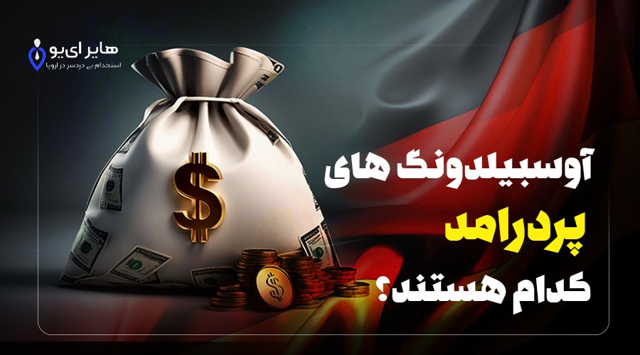 آوسبیلدونگ های پردرامد